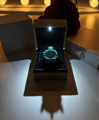 Bague de Luxe en Argent Sterling 925 et Or 18K